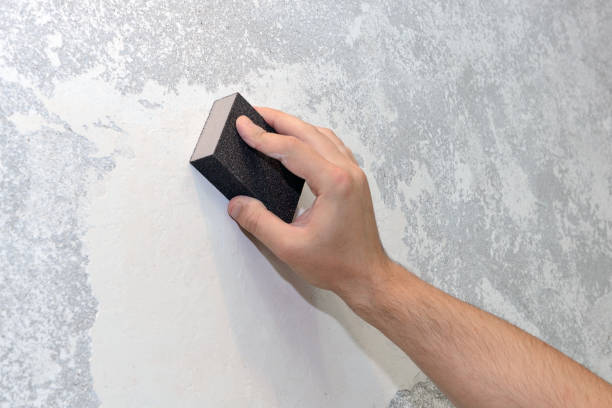 Best Mold Damage Restoration  in Helemano, HI