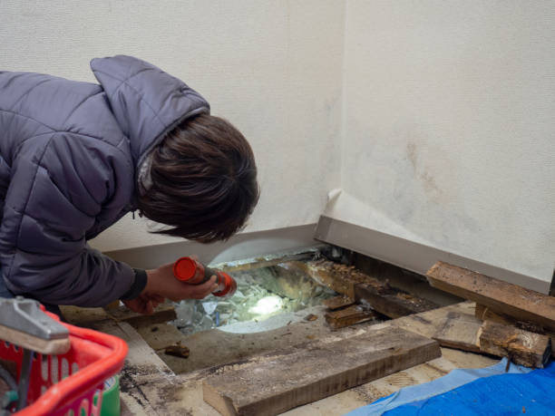 Best Commercial Mold Inspection  in Helemano, HI