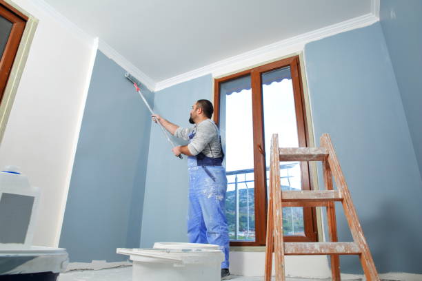Best Post-Construction Mold Inspection  in Helemano, HI