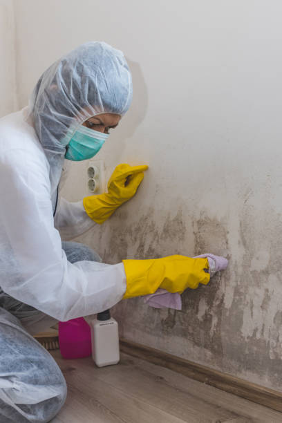 Best Mold Removal for HVAC Installations  in Helemano, HI