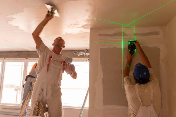 Best Air Quality Testing for Mold Spores  in Helemano, HI