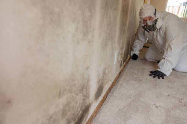 Best Forensic Mold Investigation  in Helemano, HI