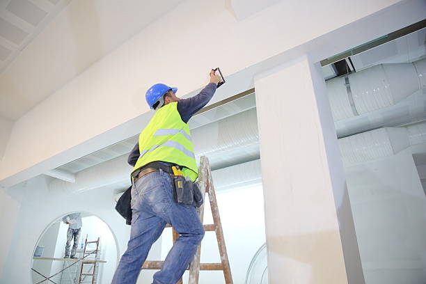 Best Dehumidification Services  in Helemano, HI